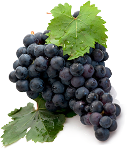 Grapes